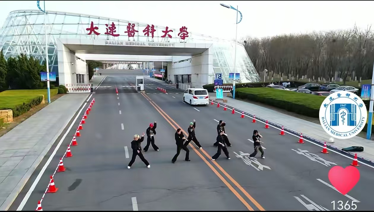 青春DMUers