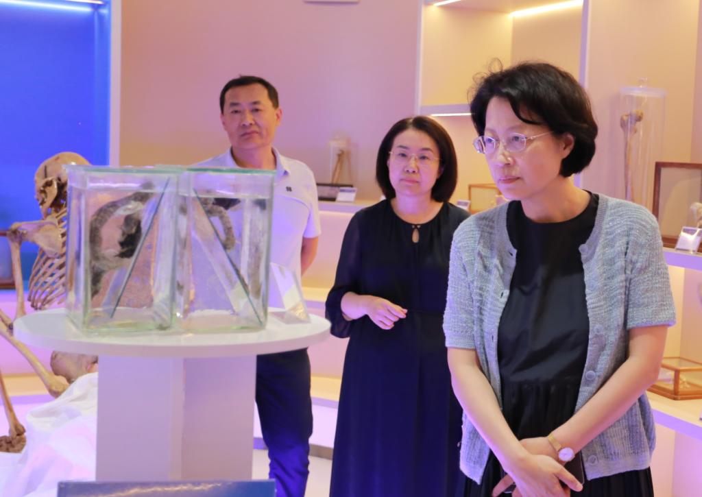 校长刘莹到基础医学院调研指导场馆建设工作